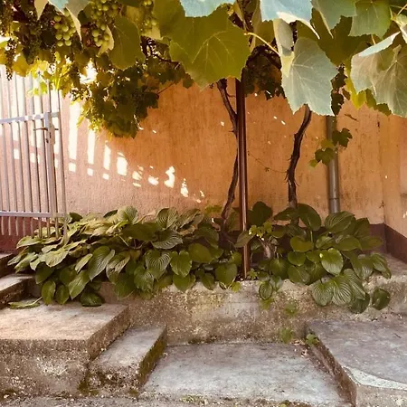 Brko * Banja Luka